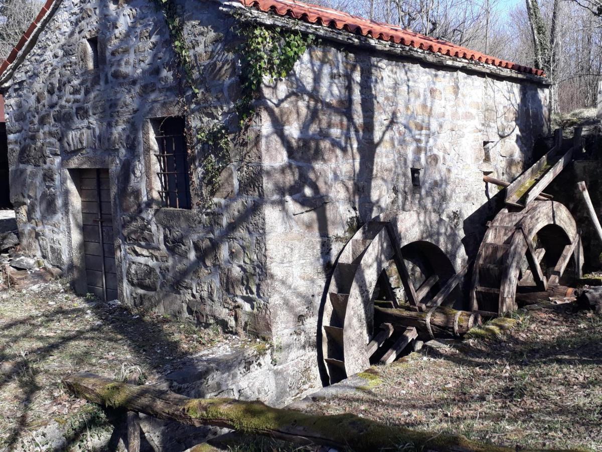 Gasthaus Wine House Rakar Gračišče Exterior foto