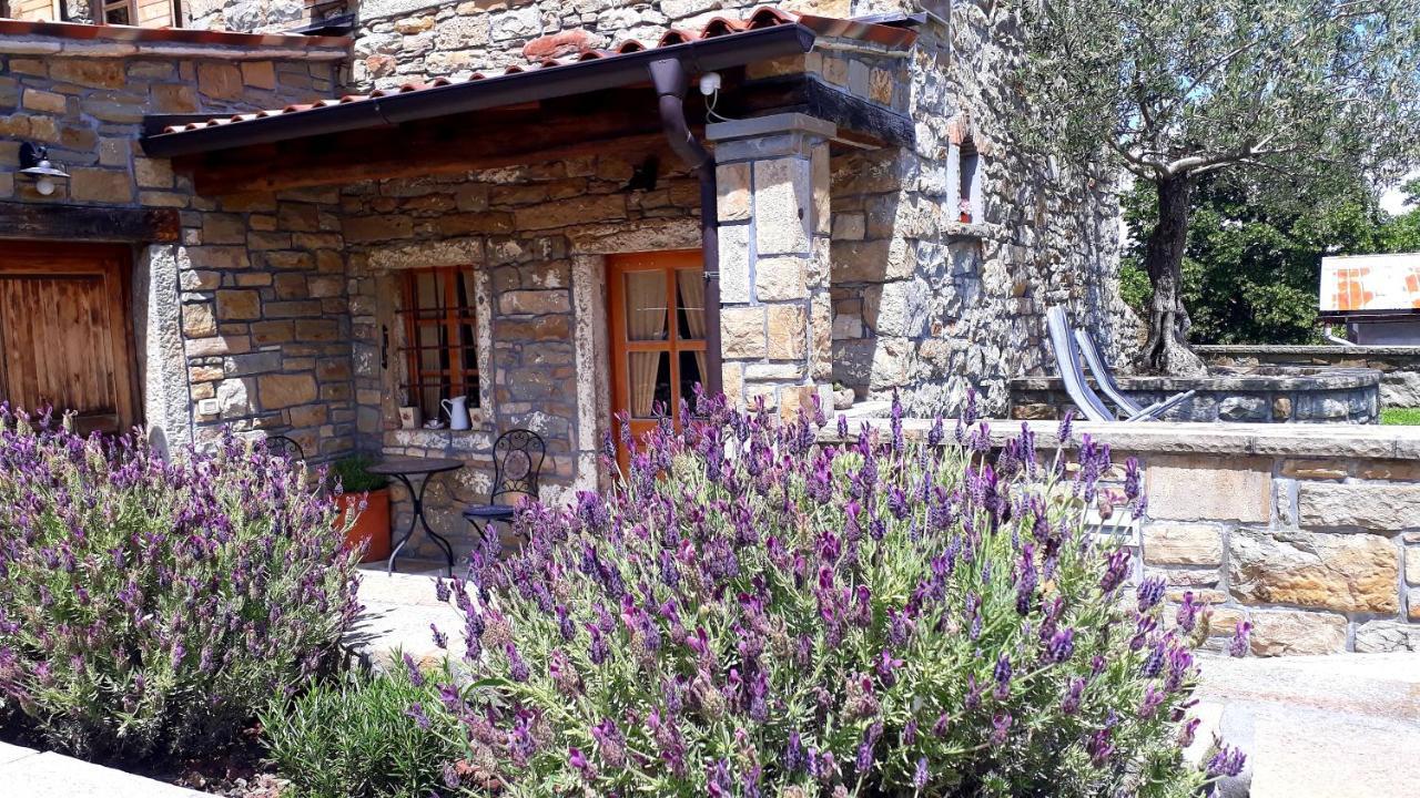 Gasthaus Wine House Rakar Gračišče Exterior foto